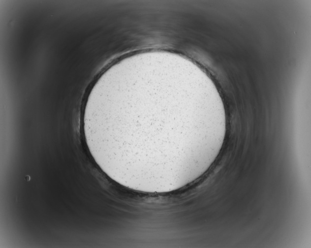 X0000087601220200705251915