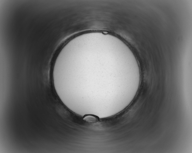 X0000087601222200705251915