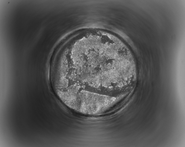 X0000087601224200705251915