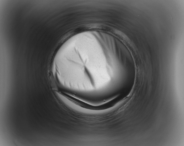 X0000087601225200705251915