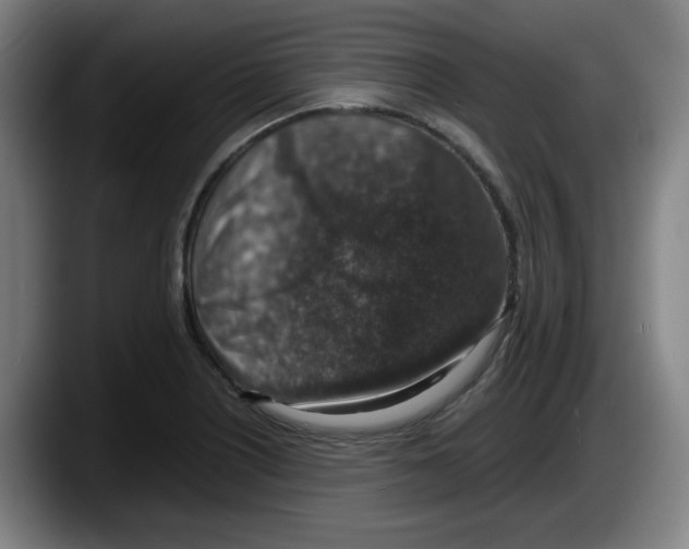 X0000087601226200705251915