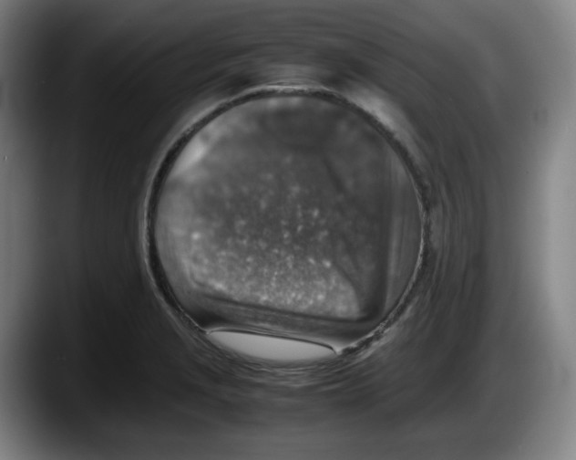 X0000087601229200705251915