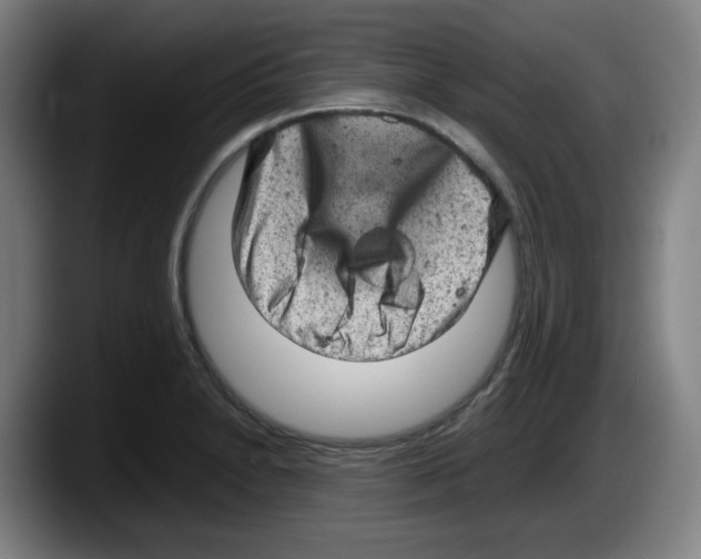 X0000087601230200705251915