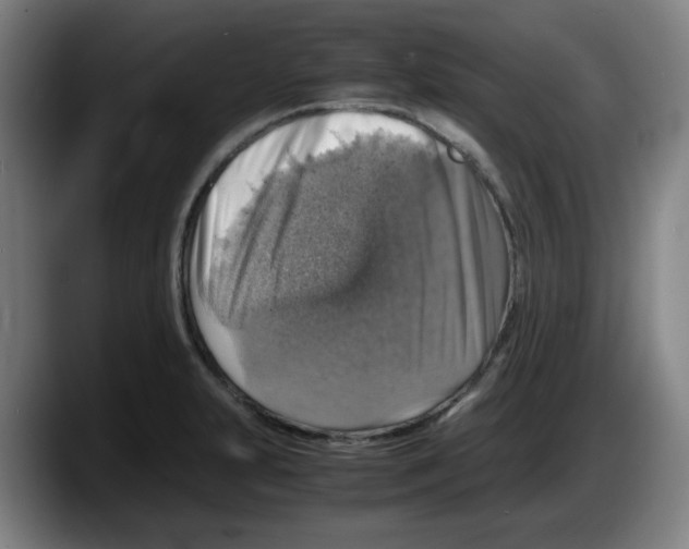 X0000087601231200705251915