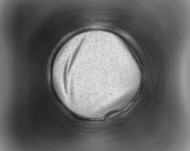 X0000087601232200705251915