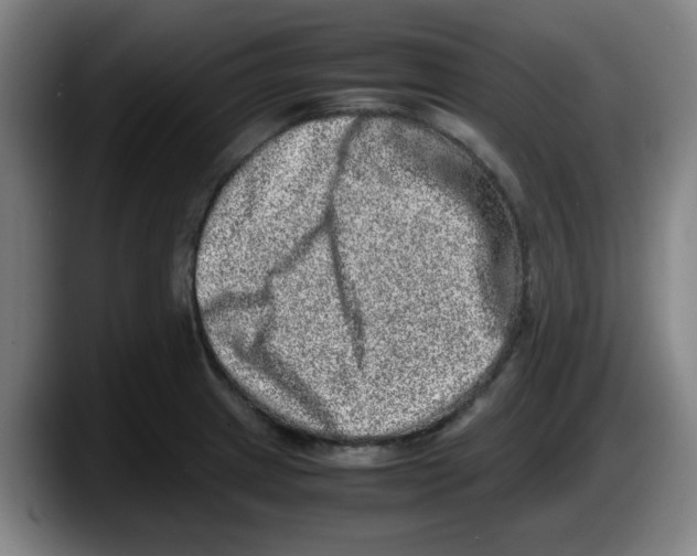 X0000087601233200705251915