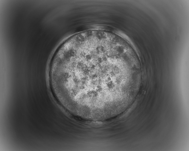 X0000087601235200705251915