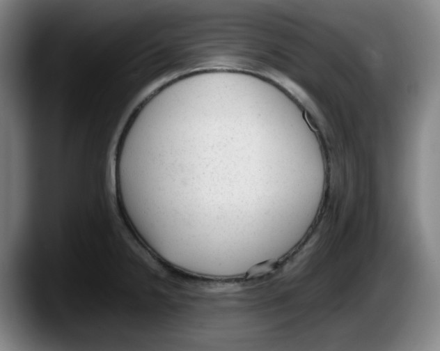 X0000087601238200705251915