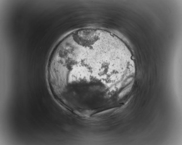 X0000087601239200705251915