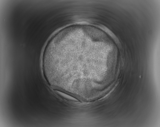 X0000087601240200705251915