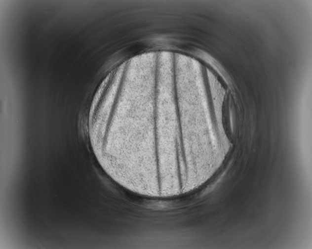 X0000087601241200705251915