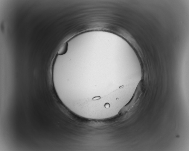 X0000087601242200705251915