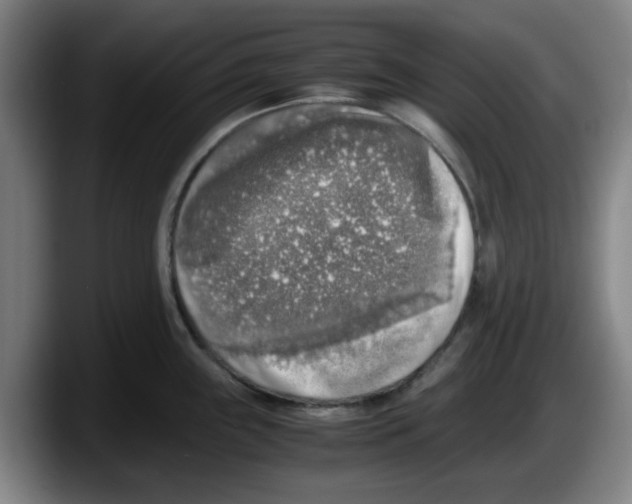 X0000087601243200705251915