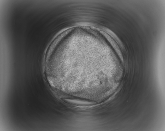 X0000087601244200705251915