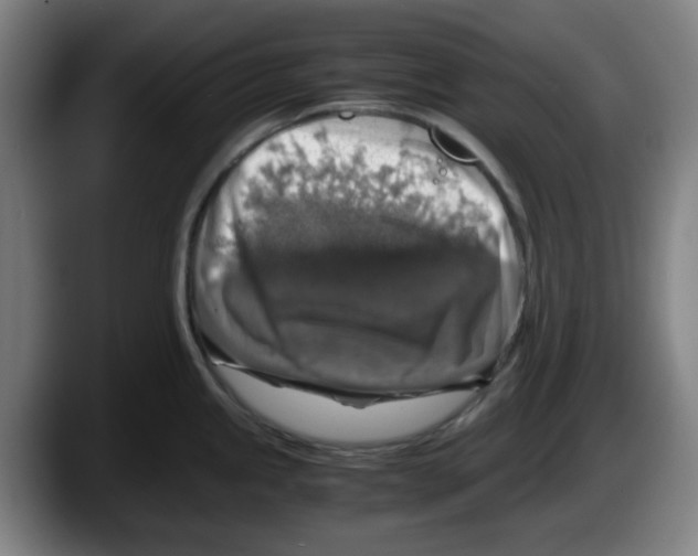 X0000087601245200705251915