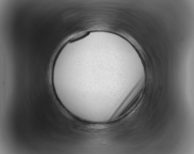 X0000087601246200705251915