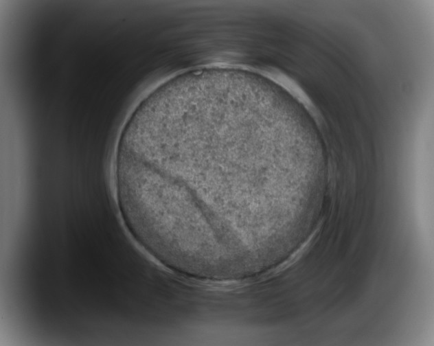 X0000087601247200705251915