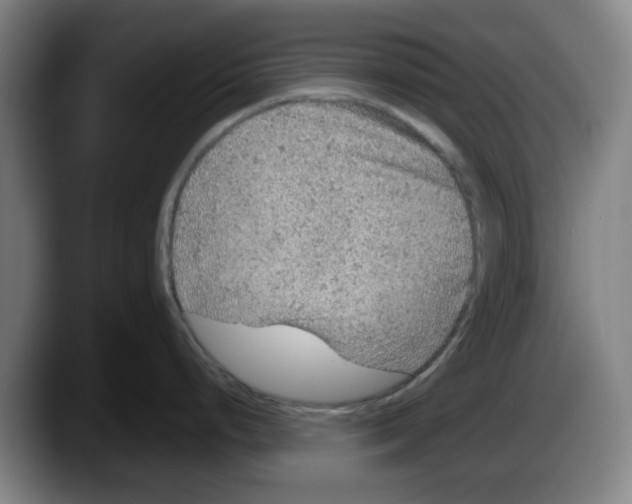 X0000087601248200705251916