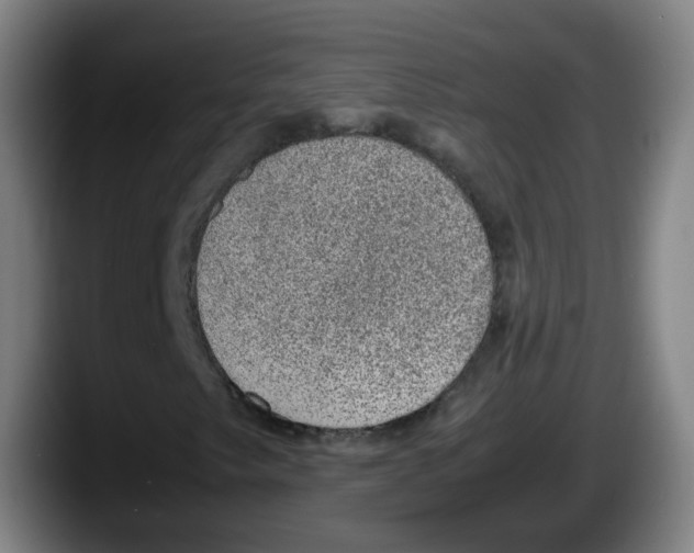 X0000087601249200705251915