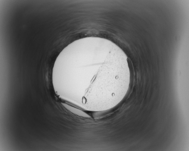 X0000087601250200705251915