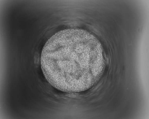 X0000087601251200705251915