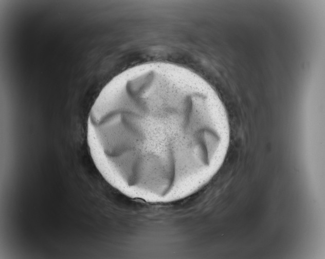 X0000087601253200705251915