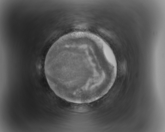 X0000087601254200705251915