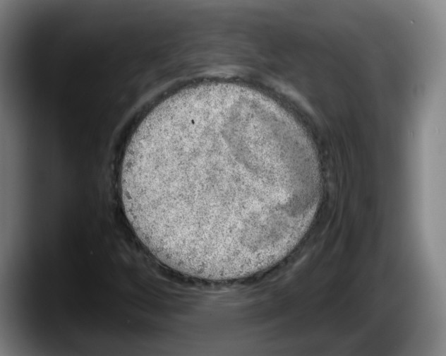 X0000087601256200705251915