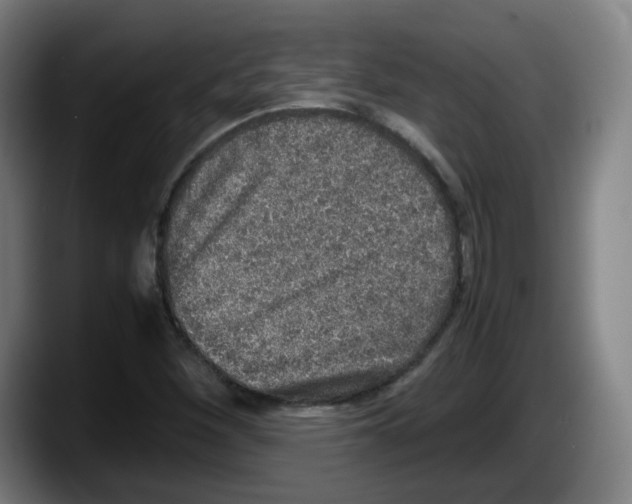 X0000087601260200705251915