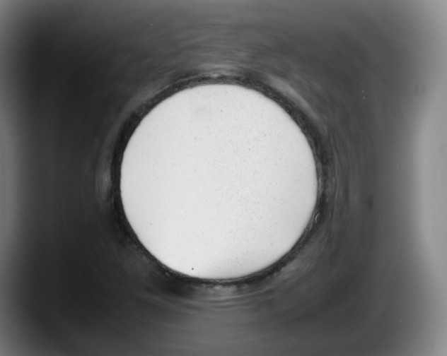 X0000087601261200705251915