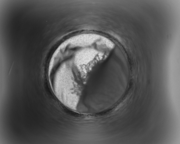 X0000087601263200705251915