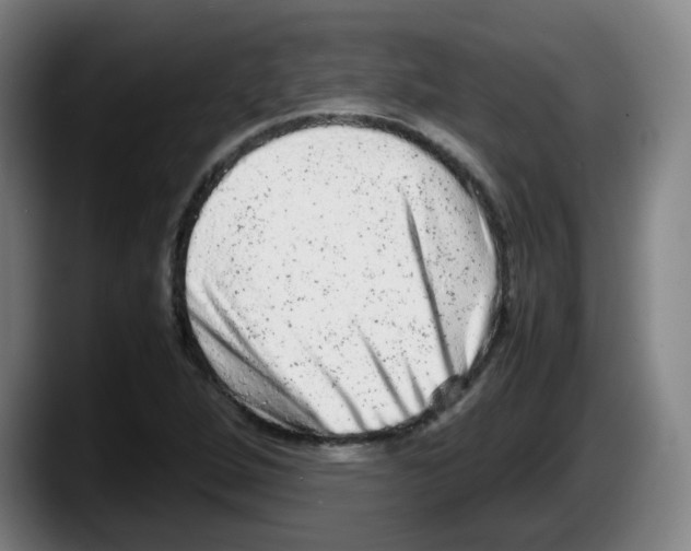 X0000087601264200705251915