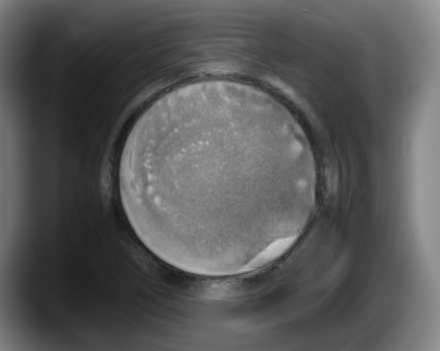 X0000087601266200705251915