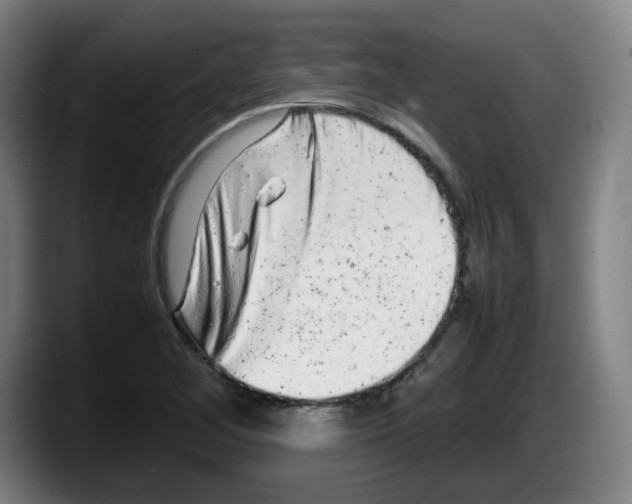 X0000087601268200705251915