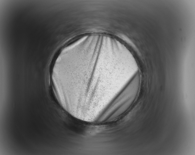 X0000087601269200705251915