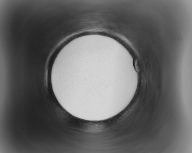 X0000087601270200705251915