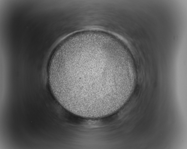 X0000087601271200705251915