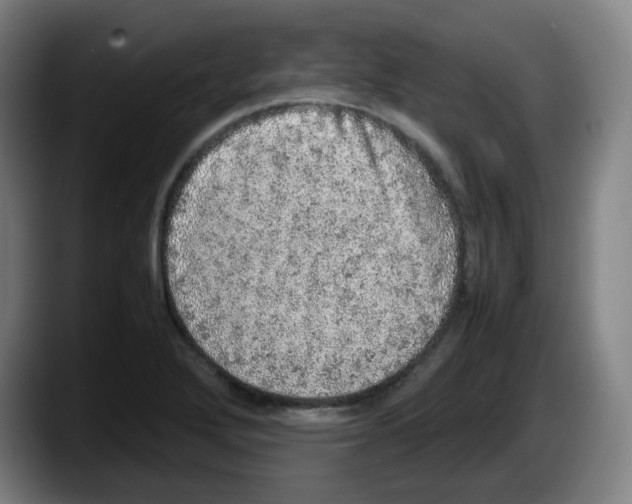 X0000087601272200705251915