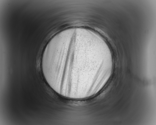 X0000087601273200705251915