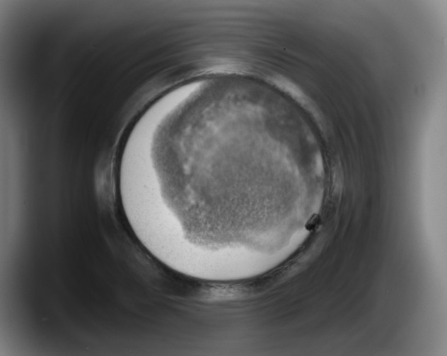 X0000087601274200705251915