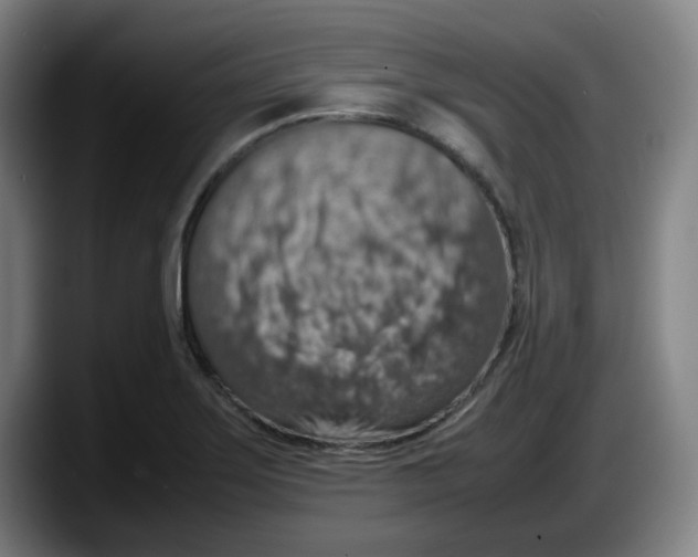 X0000087601275200705251915