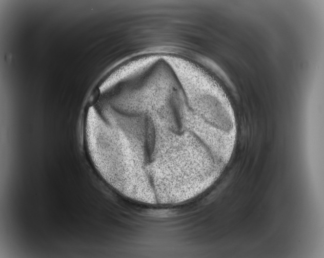 X0000087601276200705251915