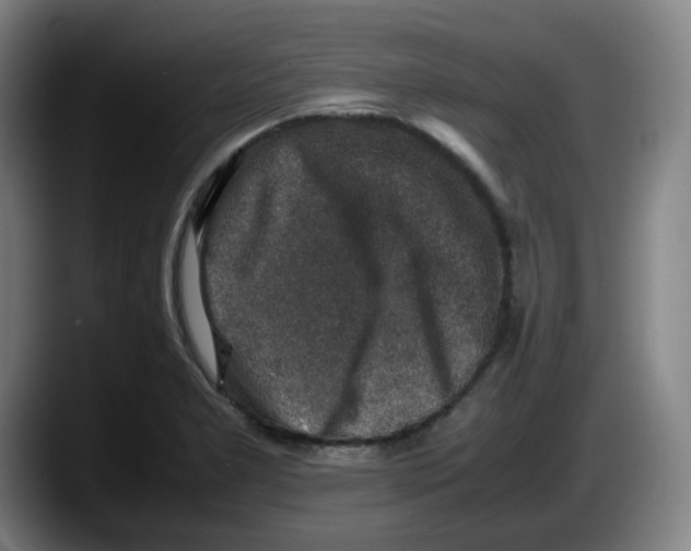 X0000087601277200705251915