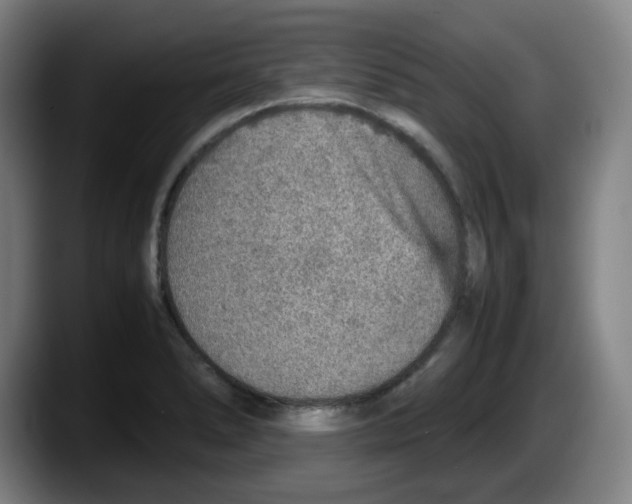 X0000087601278200705251915