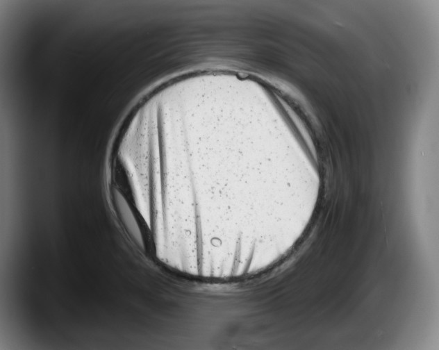 X0000087601280200705251914