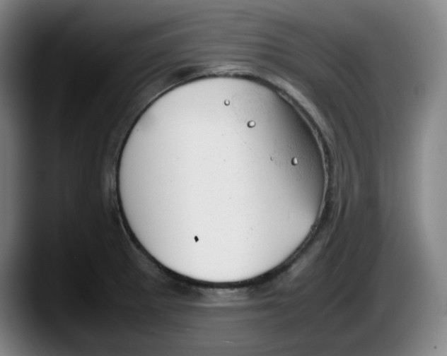 X0000087601281200705251914