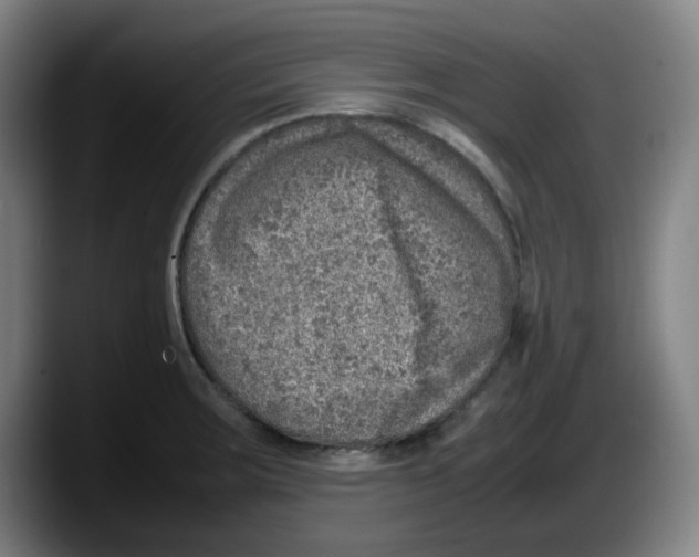 X0000087601283200705251914