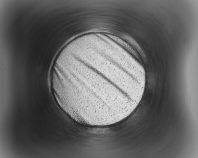 X0000087601284200705251914