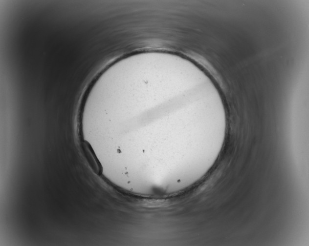 X0000087601285200705251914