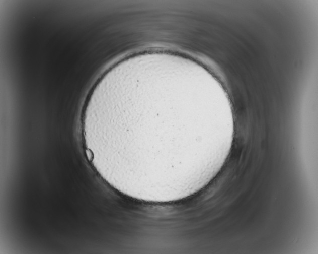 X0000087601287200705251914